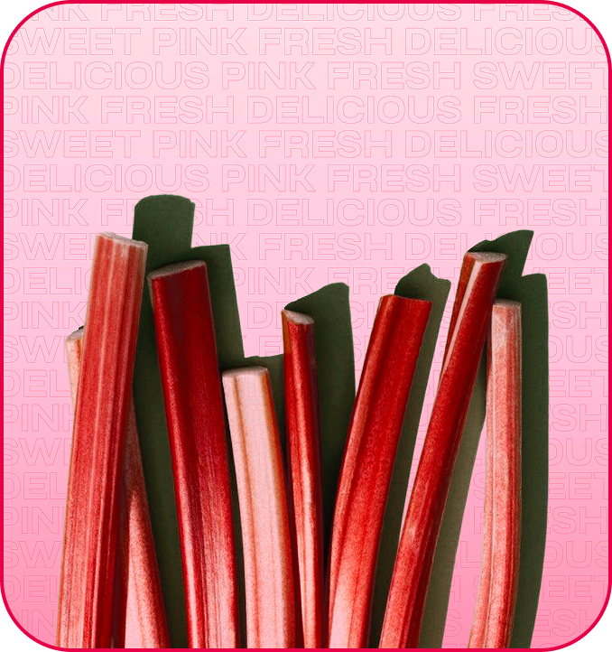 Pink Rhubarb
