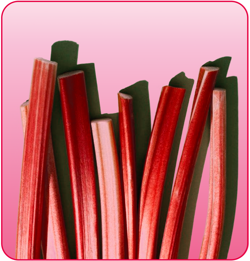 Pink Rhubarb